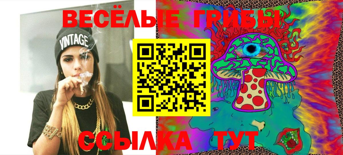 Галлюциногенные грибы Psilocybe Тавда