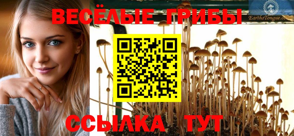 Галлюциногенные грибы Psilocybine cubensis  Псилоцибиновые грибы Psilocybine cubensis  закладка  Вход с VPN  Тавда 